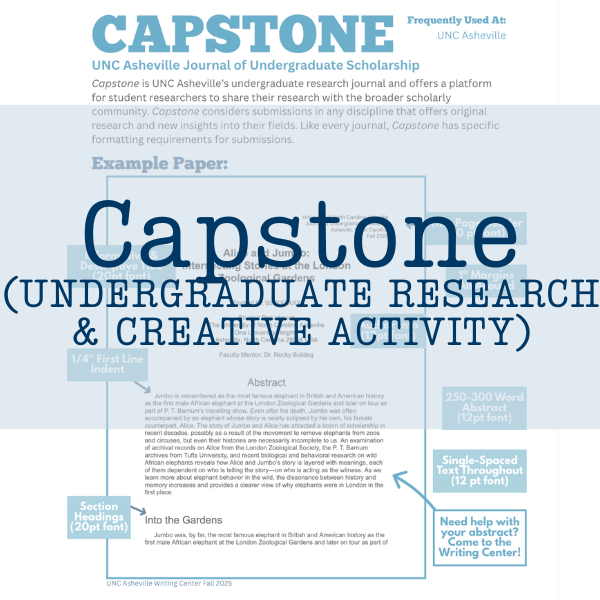Access Capstone Handout